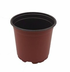 Doniczka produkcyjna 15 cm