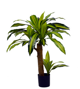 Dracena sztuczna 80 cm