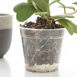 Doniczka plastikowa do storczyka 17 cm