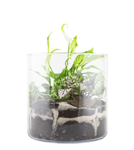 Cylinder na świece 7,5cm