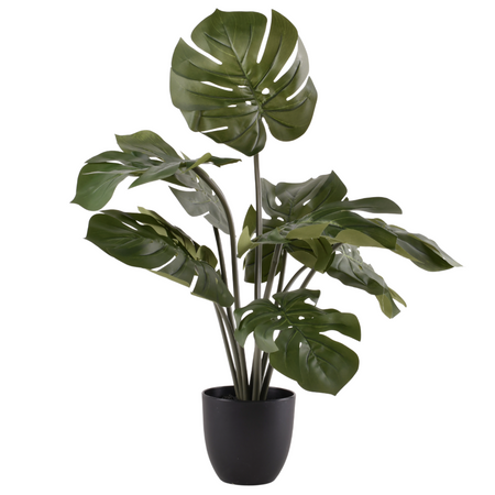 Monstera sztuczna 50cm