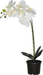 Storczyk sztuczny premium 7 kwiatów