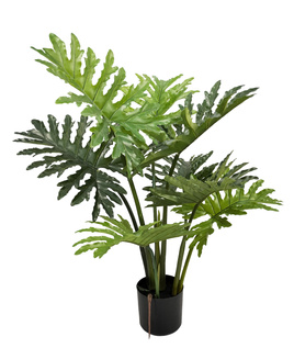 Filodendron sztuczny 85 cm 