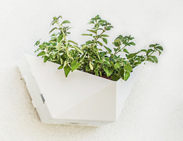 Doniczka modułowa wertykalna na ścianę biała