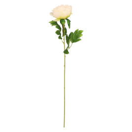 Sztuczna gałązka piwonia 60 cm kremowa