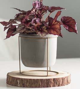 Osłonka betonowa na nodze SZARA