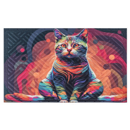 Wycieraczka materiałowa kot  45*75 cm