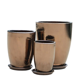 Zestaw Wietnam TOLEDO Gold