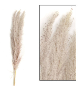 Trawa pampasowa 3szt naturalna 115cm