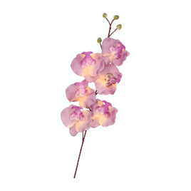 Sztuczna gałązka storczyk 75 cm
