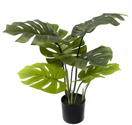 Monstera sztuczna 70cm