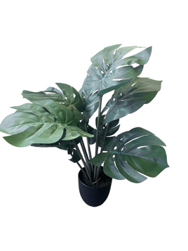 Monstera sztuczna 50cm